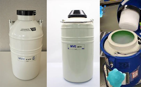 mve航空液氮罐 mve航空液氮罐